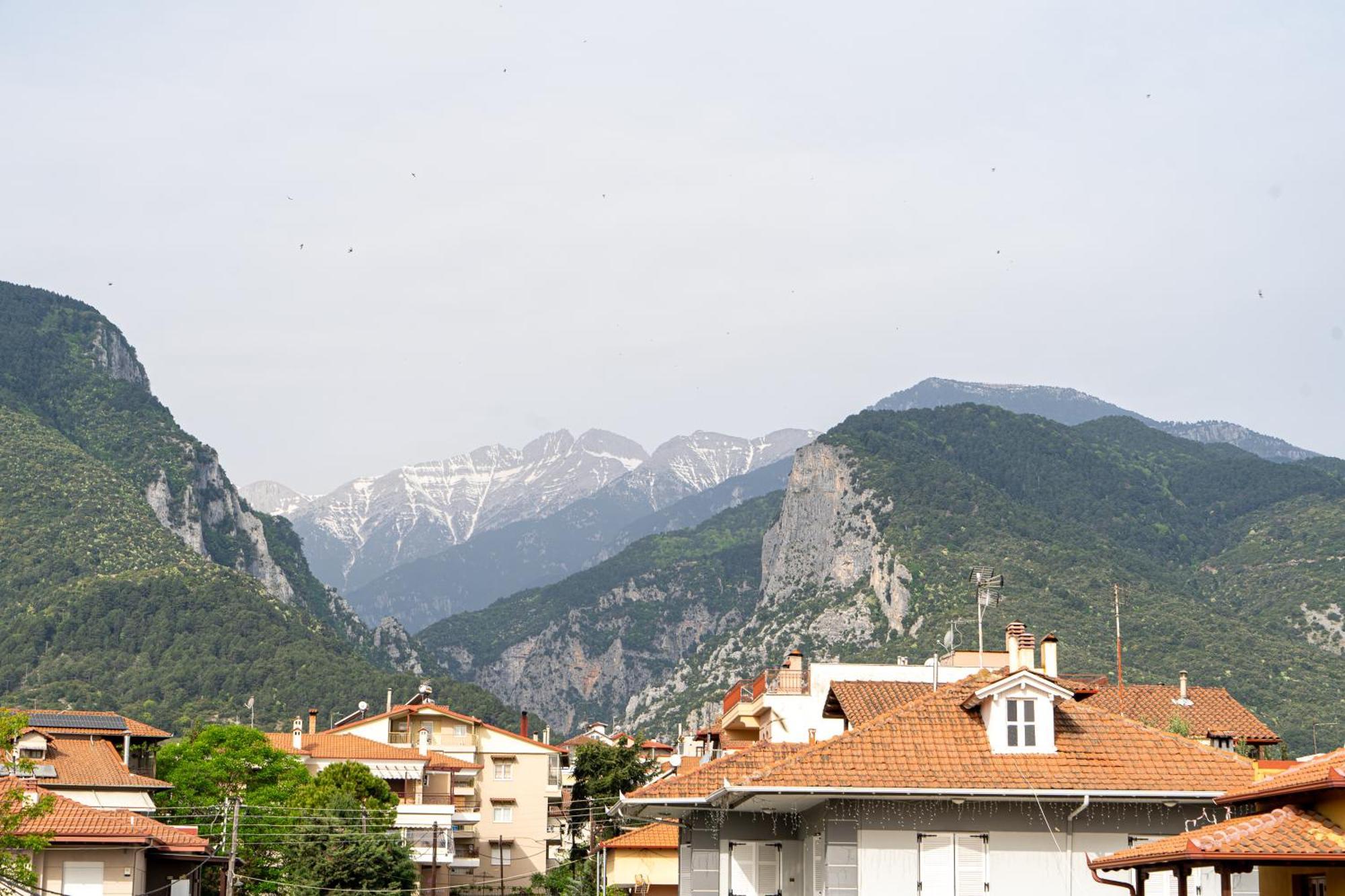 Ophelia - New Modern Apartment With Spectacular Olympus View Litochoro Exterior foto
